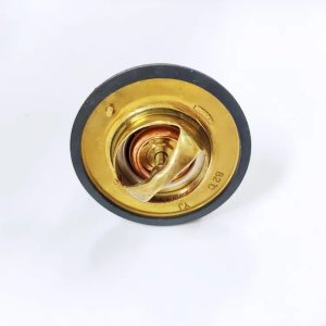 3800884 Cummins B3.3 Thermostat