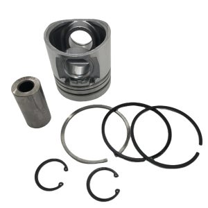 3802132 Cummins 4B3.9 Piston Kit