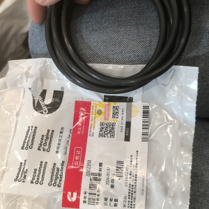 3082358 Cummins Diesel Engines O-Ring Seal