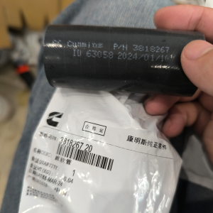 33039279 3041968 3045831 3818267 Cummins ISX QSX15 Diesel Engine Parts Hose