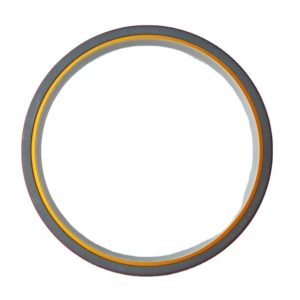 3001138 3016790 3082142 Cummins K50 K38 Qsk38 Engine Parts Oil Seal